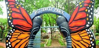 Butterfly park in trichy